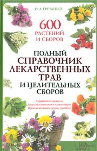 Как правильно собрать и заготовить лекарственные растения